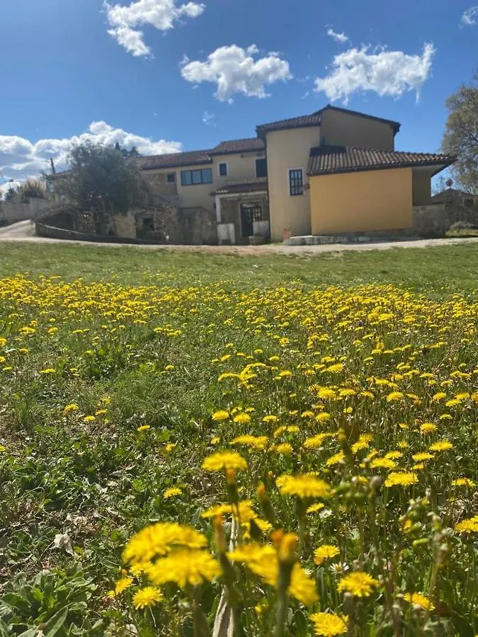 Villa Ignoto Bale Apartment